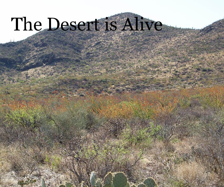 View The Desert is Alive by Lee L Peck