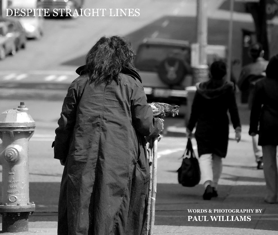 View DESPITE STRAIGHT LINES by PAUL WILLIAMS