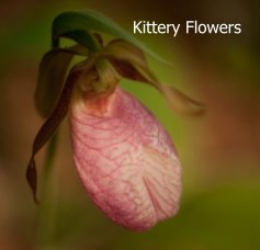 Kittery Flowers book cover