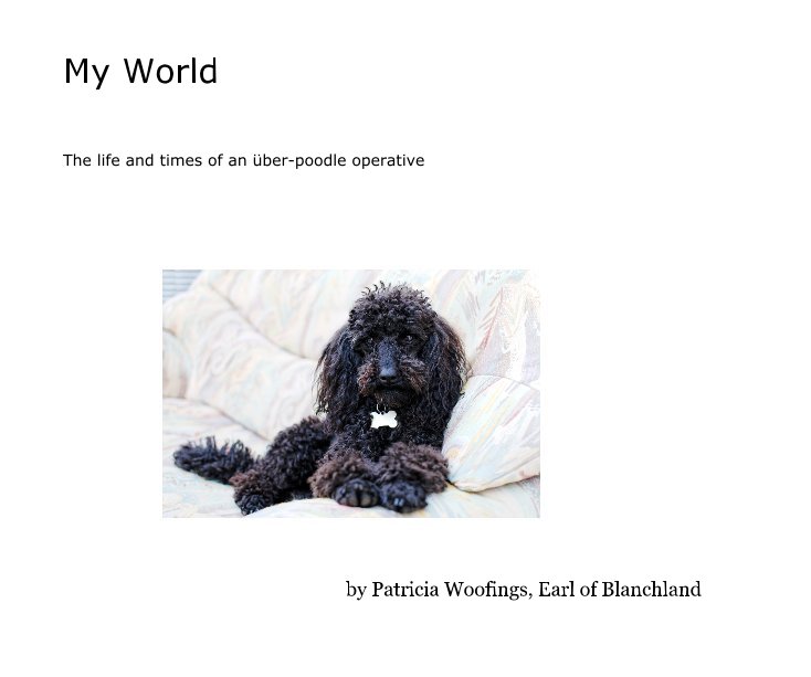 View My World by Patricia Woofings, Earl of Blanchland