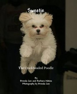 Sweetie book cover