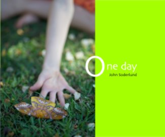 One day book cover