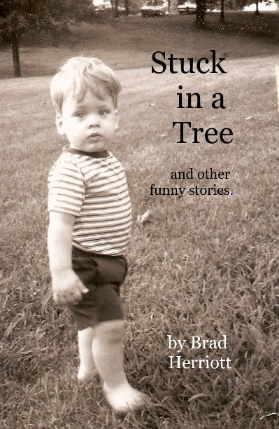 Ver Stuck in a Tree and other funny stories. por Brad Herriott