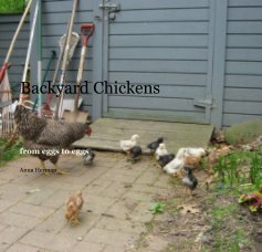 Backyard Chickens book cover