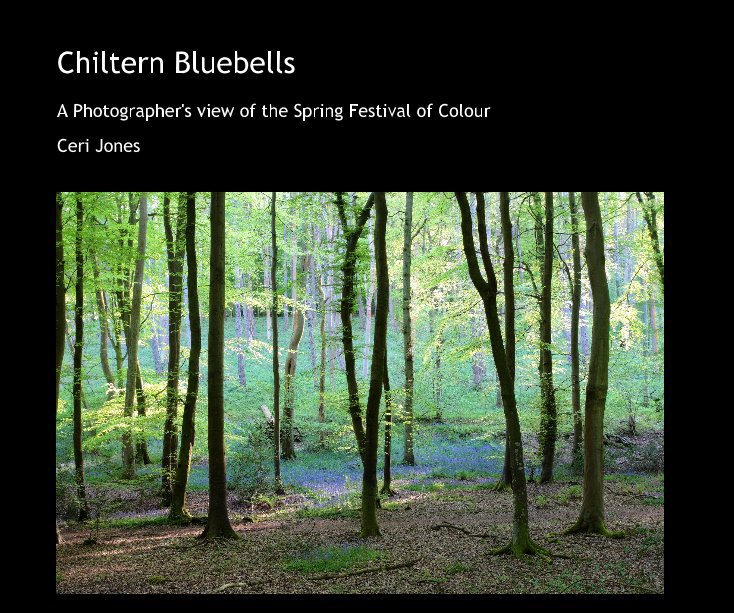 View Chiltern Bluebells by Ceri Jones