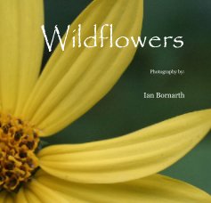 Wildflowers book cover