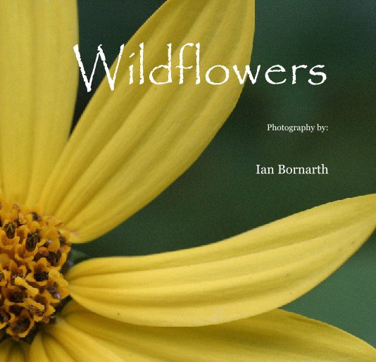 View Wildflowers by Ian Bornarth