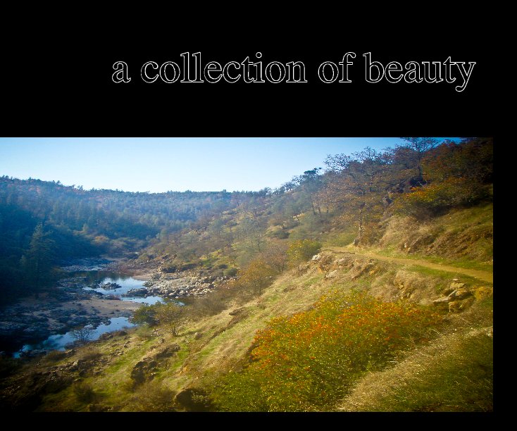 Ver a collection of beauty por jonathon greiner