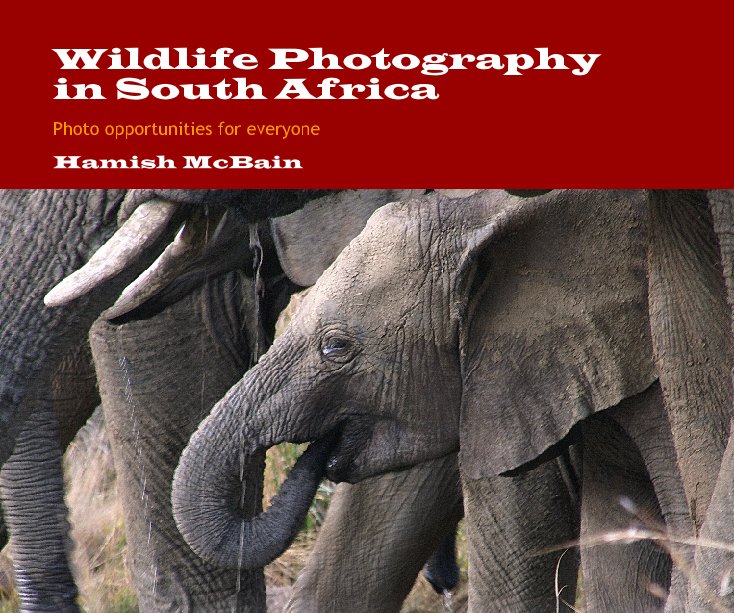 View Wildlife Photography in South Africa by Hamish McBain