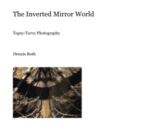 The Inverted Mirror World book cover