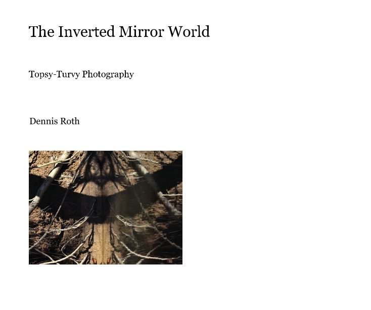 View The Inverted Mirror World by Dennis Roth