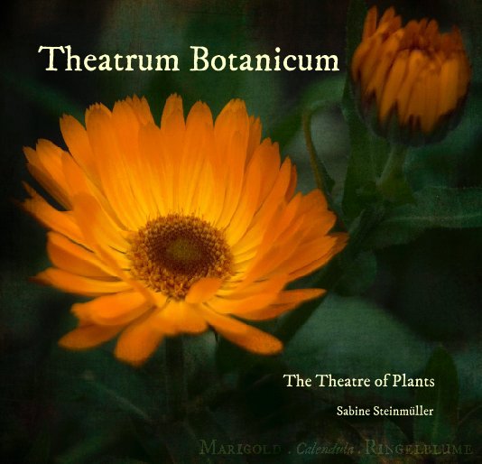 View Theatrum Botanicum by Sabine Steinmüller