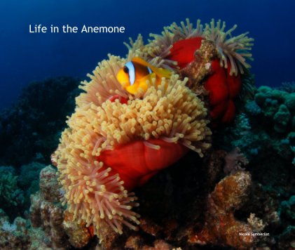 Life in the Anemone book cover