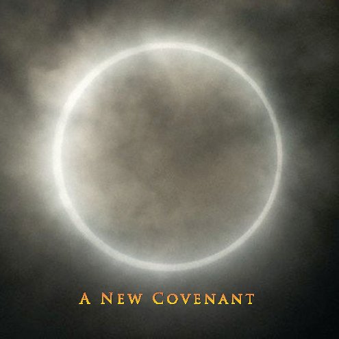View A New Covenant by Judith L. Nilan