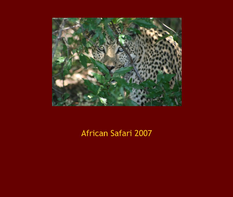 Ver African Safari 2007 por Jamesgoettl