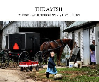 THE AMISH book cover