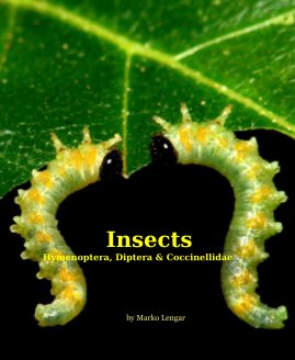 Insects book cover