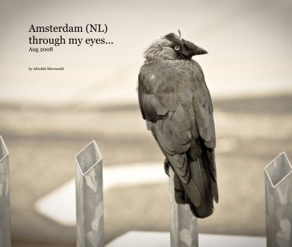 Amsterdam (NL) through my eyes... Aug 2008 book cover