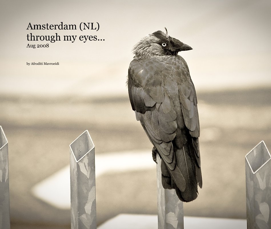 View Amsterdam (NL) through my eyes... Aug 2008 by Afroditi Mavroeidi