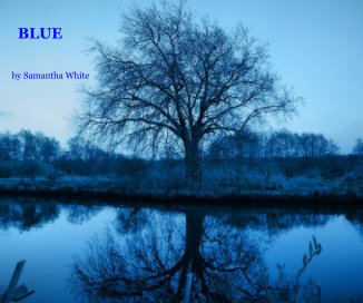 BLUE book cover