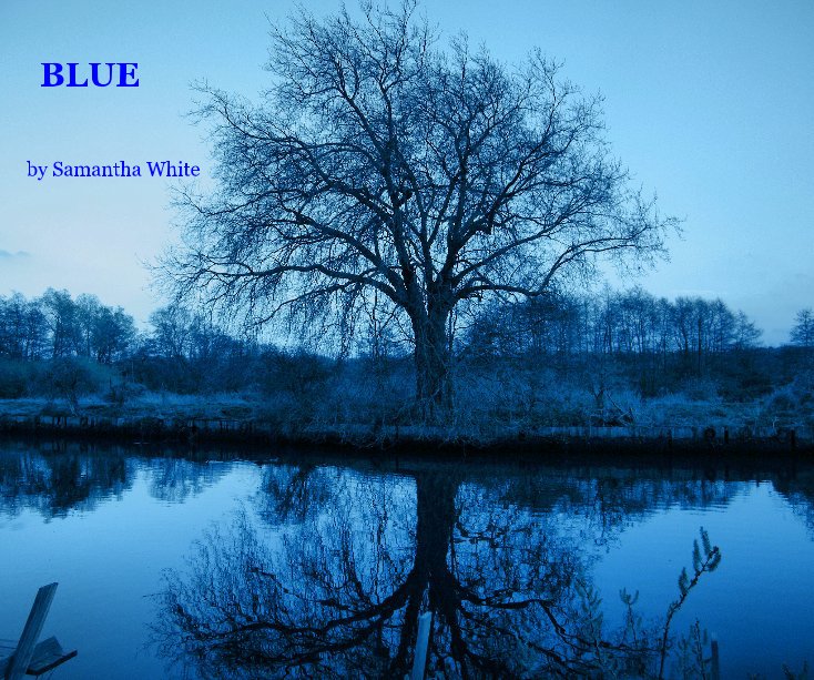 View BLUE by Samantha White
