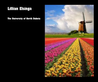 Lillian Elsinga book cover