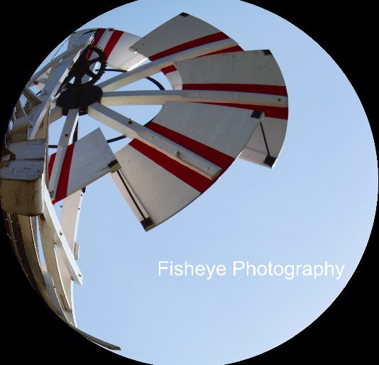 View Fisheye Photography by Megan Harvey