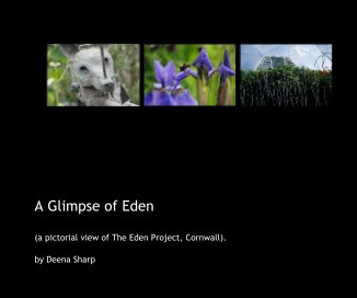 A Glimpse of Eden book cover