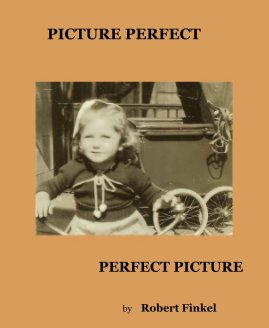 PICTURE PERFECT book cover