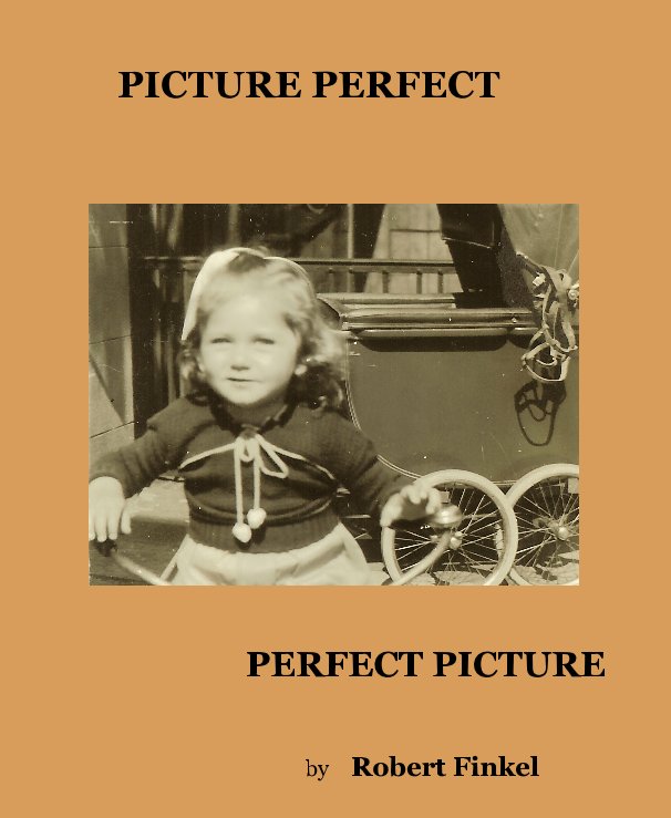 View PICTURE PERFECT by Robert Finkel