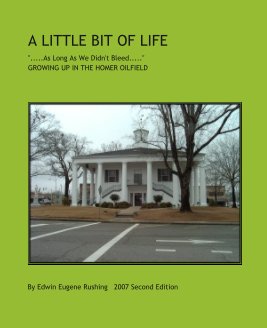 A LITTLE BIT OF LIFE book cover