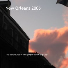 New Orleans 2006 book cover