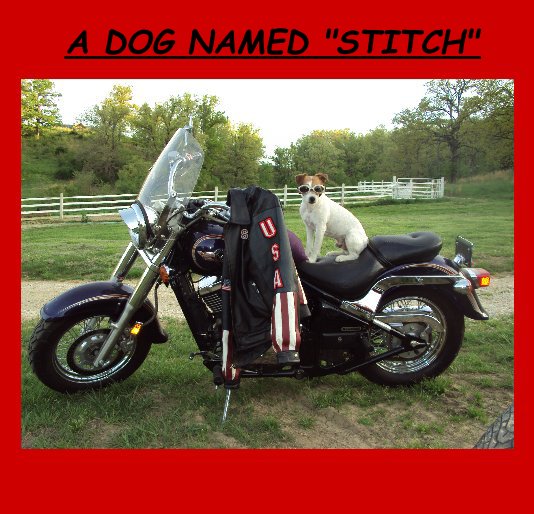 View A DOG NAMED "STITCH" by Angie Drittler