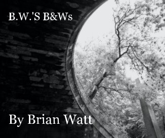 B.W.'S B&Ws By Brian Watt book cover