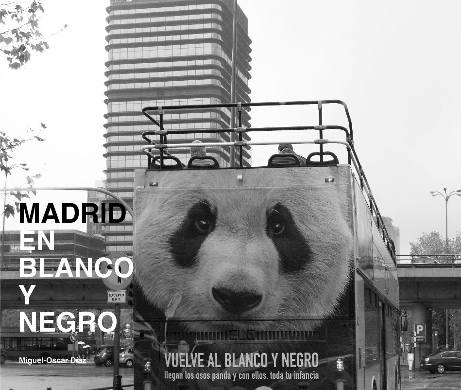 View MADRID EN BLANCO Y NEGRO by Miguel-Oscar DÃ­az