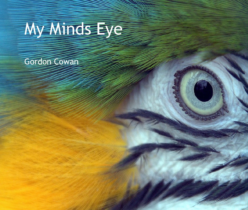 View My Minds Eye by Gordon Cowan