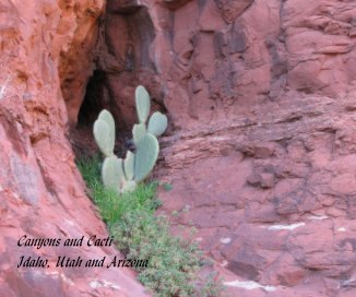Canyons and Cacti Idaho, Utah and Arizona book cover