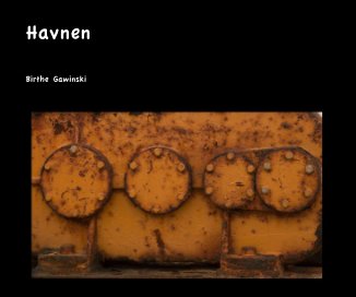 Havnen book cover