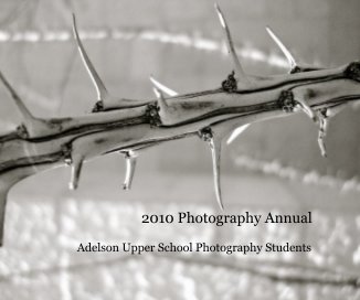 2010 Photography Annual book cover