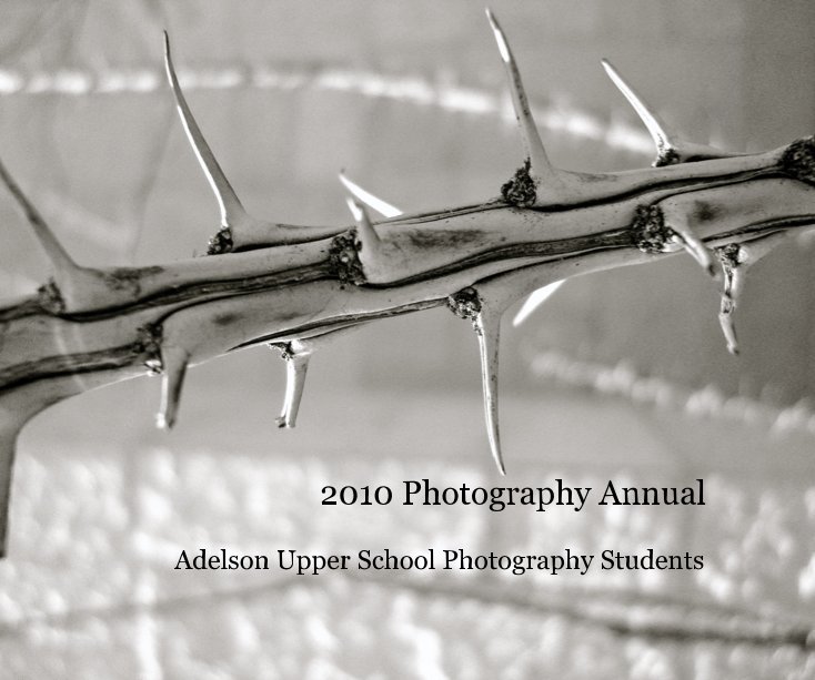 View 2010 Photography Annual by Adelson Upper School Students