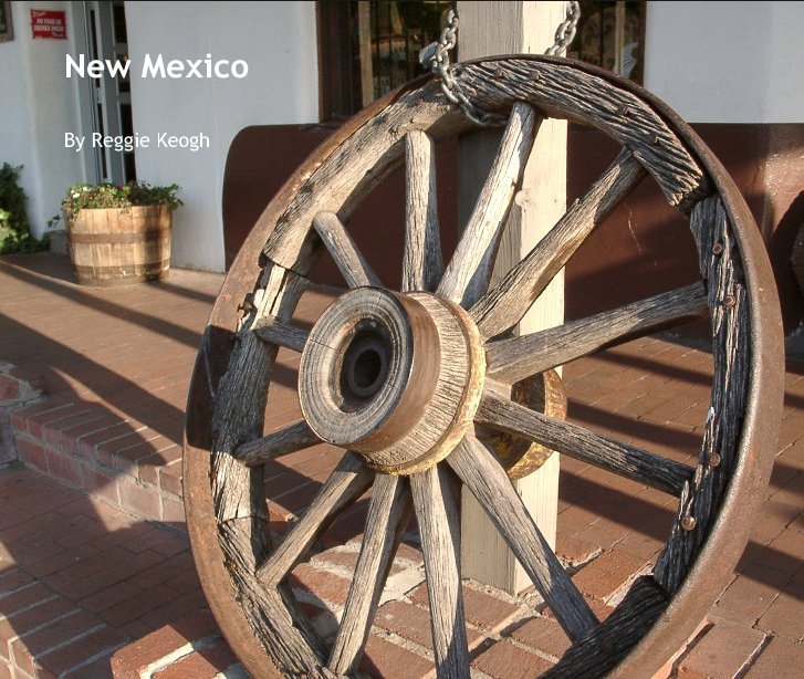 View New Mexico by Reggie Keogh