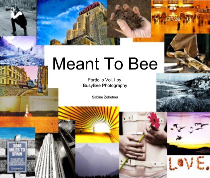 Meant To Bee book cover