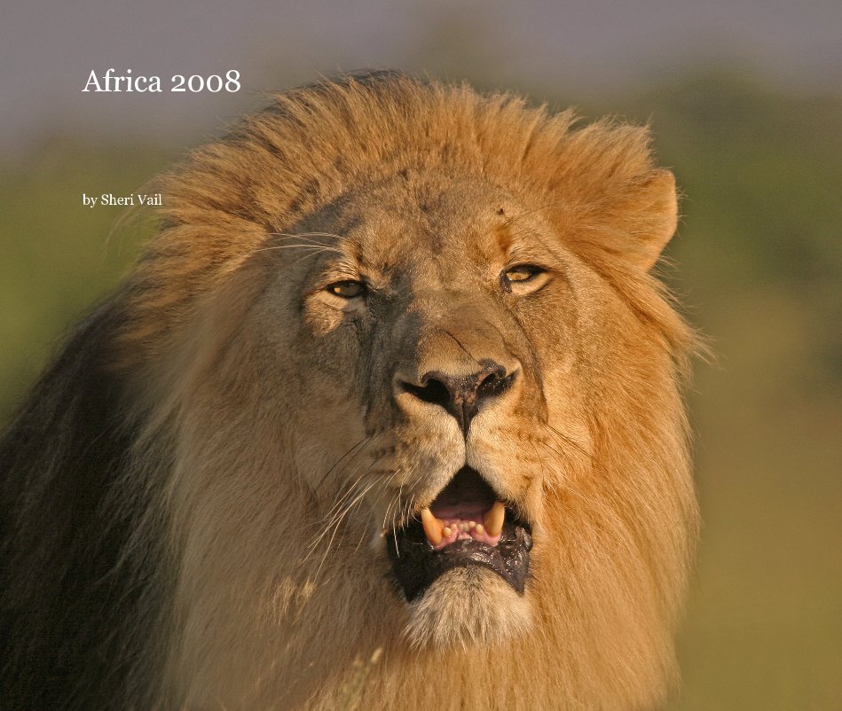 Ver Africa 2008 por Sheri Vail