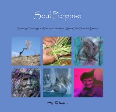 Soul Purpose book cover