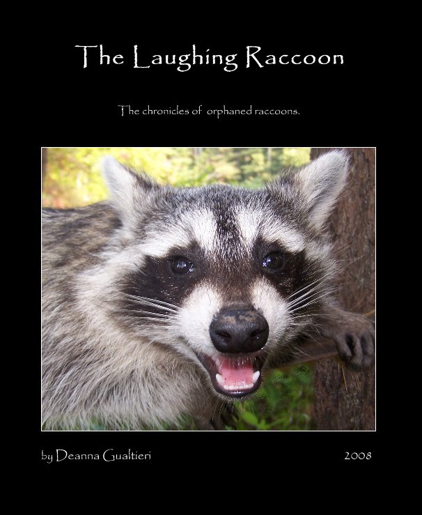 View The Laughing Raccoon by Deanna Gualtieri 2008