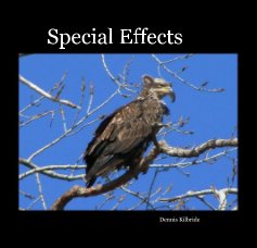 Special Effects book cover