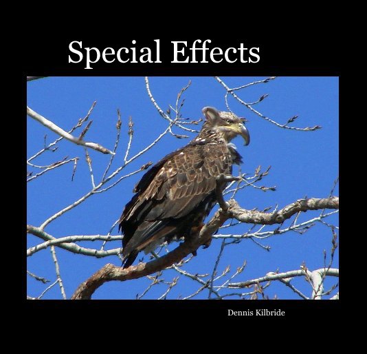 View Special Effects by Dennis Kilbride