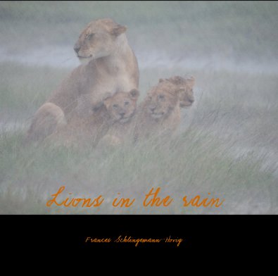 Lions in the rain book cover