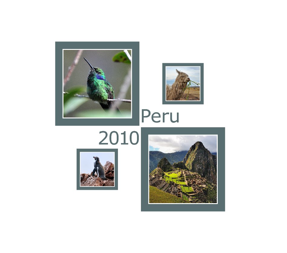Ver Peru April 2010 por Niels Hintzen