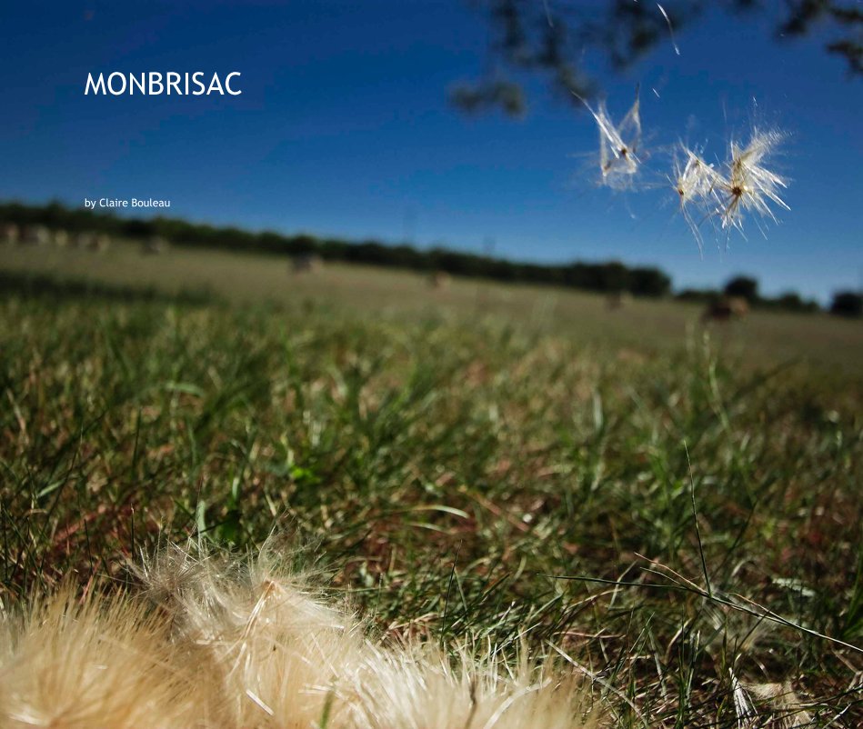 View MONBRISAC by Claire Bouleau